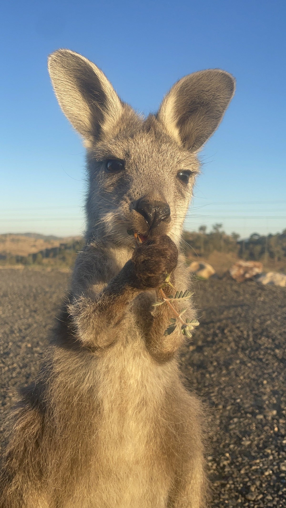 Welcome to Crafted By Nature Australia