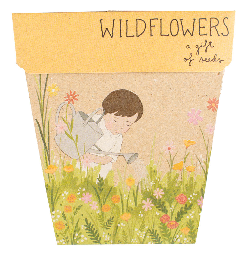 Sow 'n Sow Seed Cards