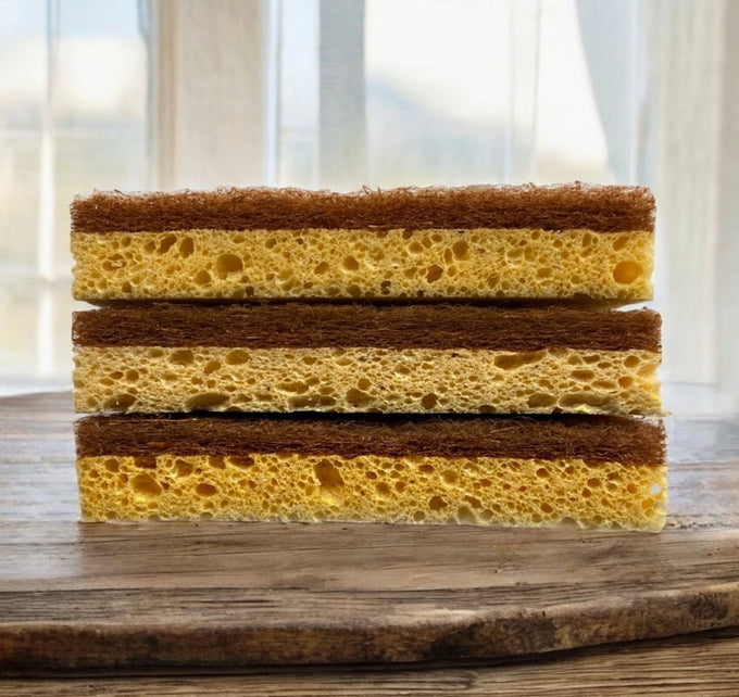 Lil Bit Coconut & Wood Pulp Scrubber Sponge 3 Pk