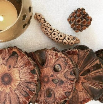 Banksia Gifts Single Banksia Coaster