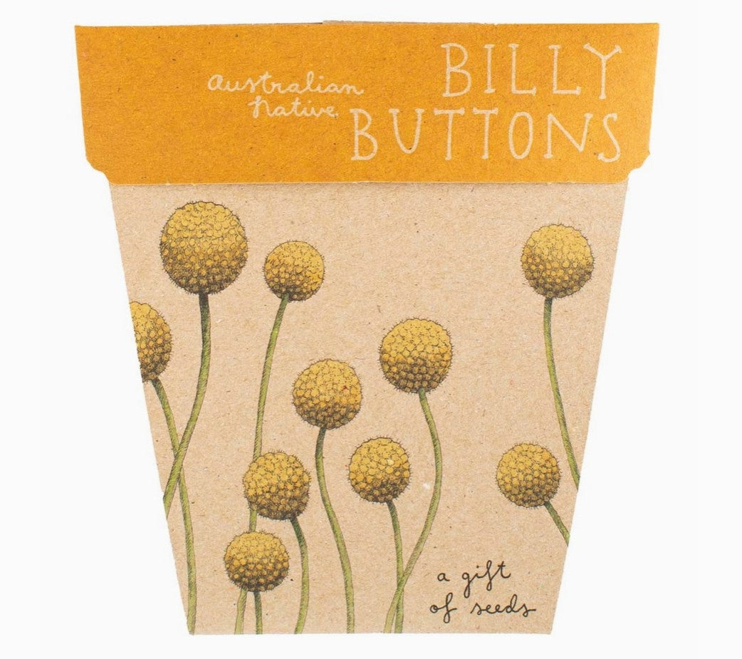 Sow 'n Sow Seed Cards