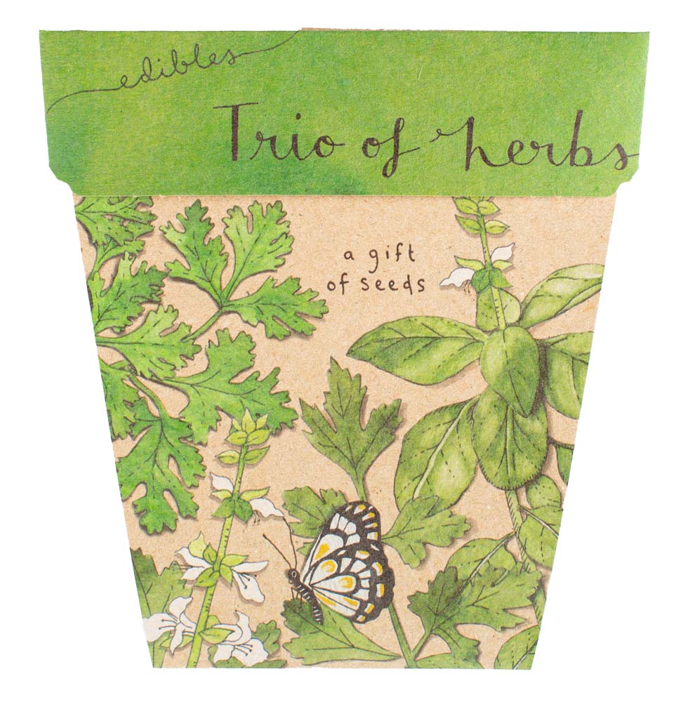 Sow 'n Sow Seed Cards