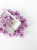 Naturopathic Alchemy Purple Daisy Body Oil 100ml