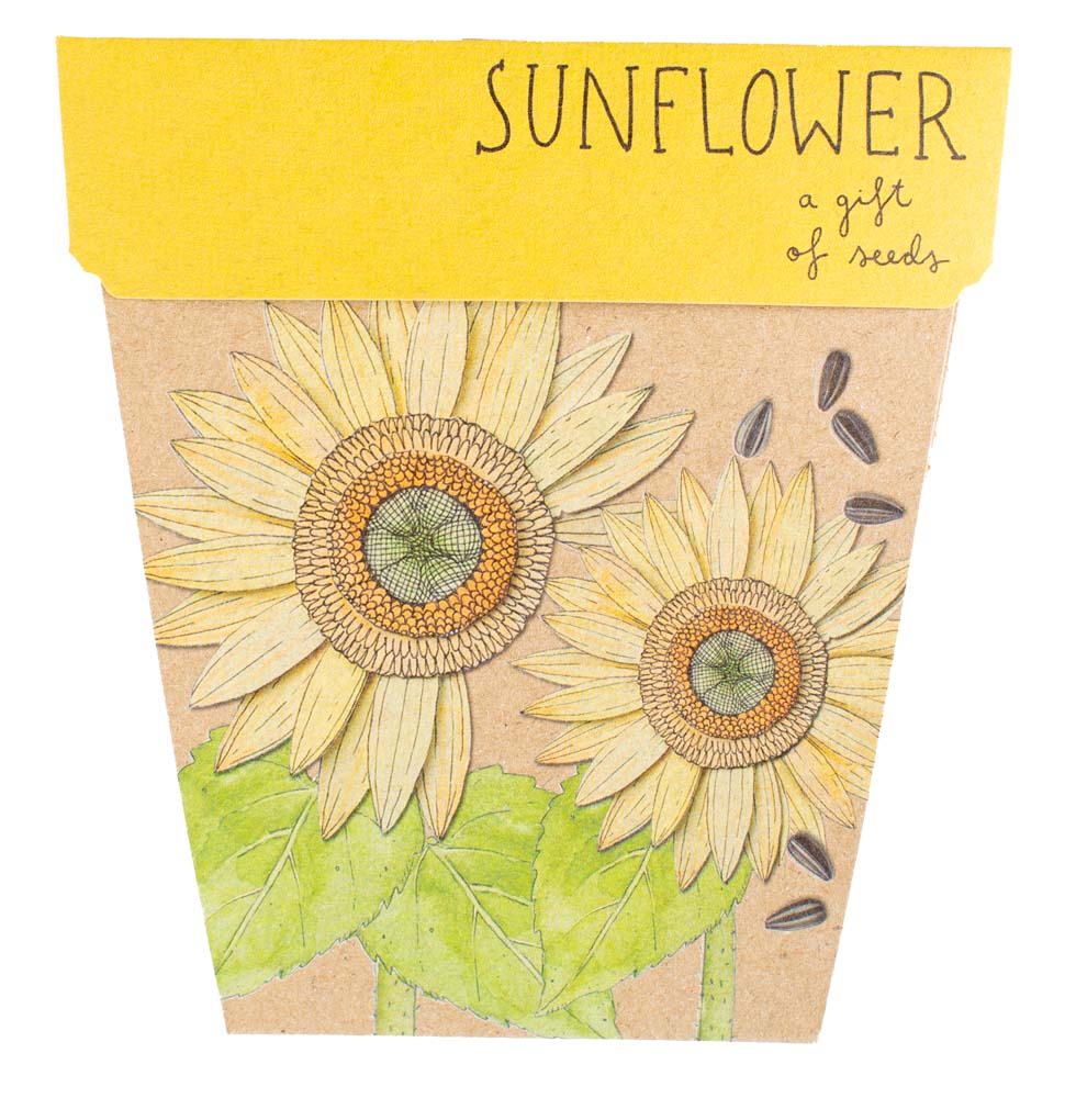 Sow 'n Sow Seed Cards