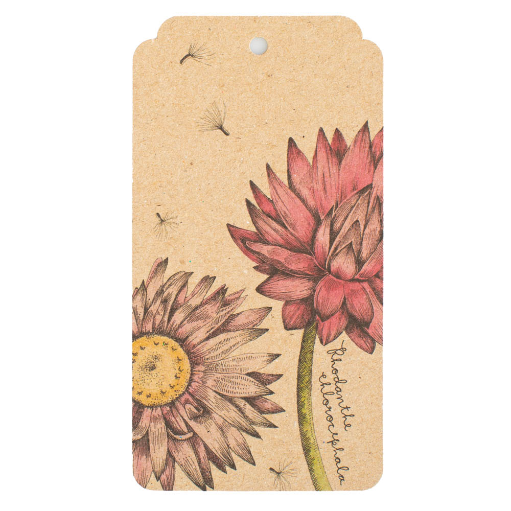 Sow 'n Sow 10pk Gift Tags