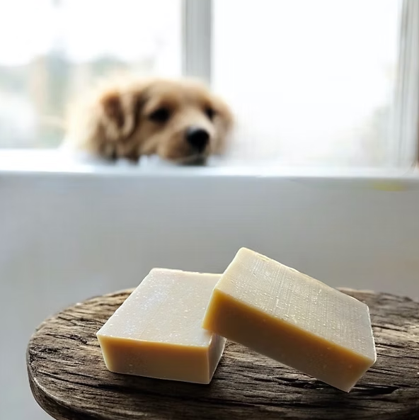 Lil Bit Pet Shampoo Bar