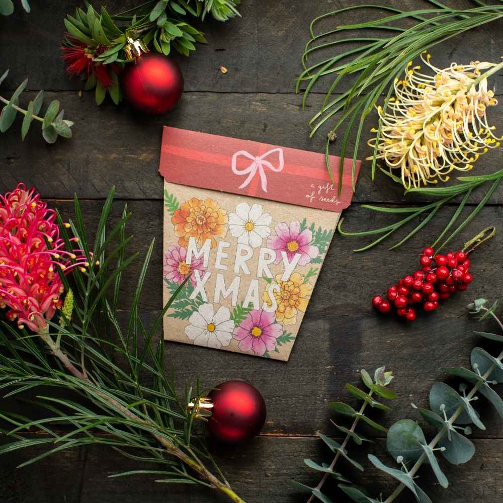 Sow 'n Sow Seed Card - Xmas Blooms