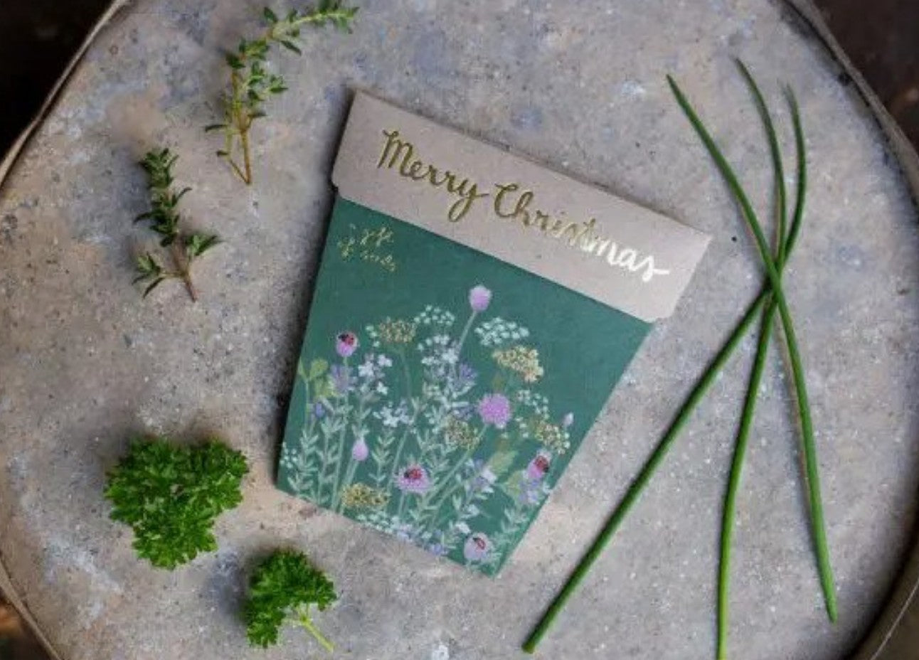 Sow 'n Sow Seed Card - Christmas Herbs