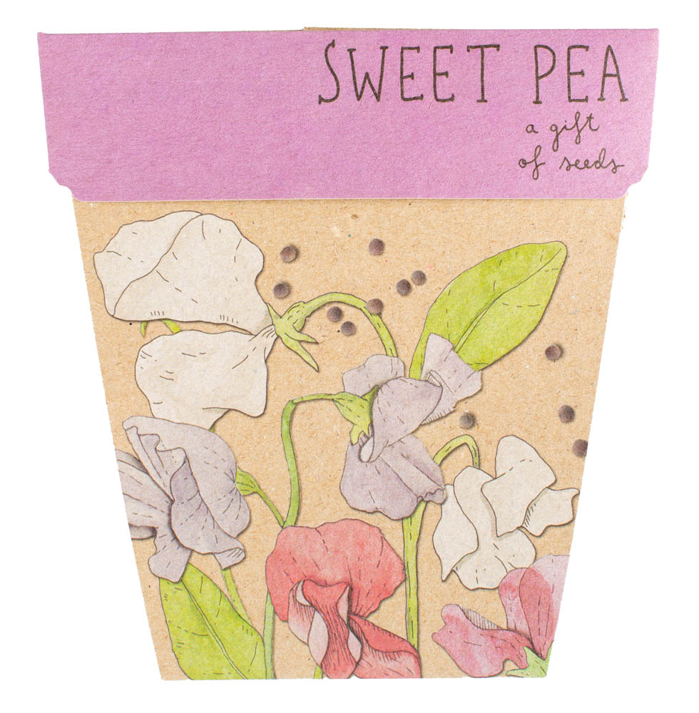 Sow 'n Sow Seed Cards