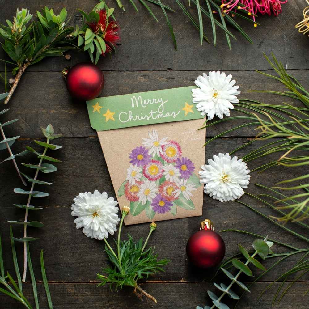 Sow 'n Sow Seed Card - Christmas Daisies