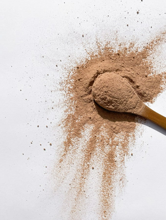 Tonika Plant Protein Powder - Classic Chocolate